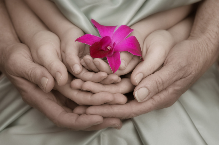 Orchid Shoot